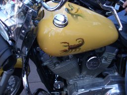 Sylt Summer time Party