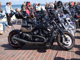 Sylt Summer time Party