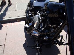 Sylt Summer time Party